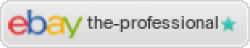 Auktionen von the-professional