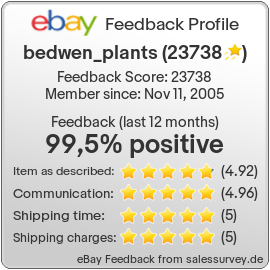 Auctions and feedback of bedwen_plants